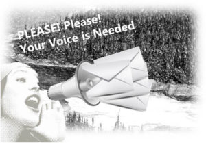 Voice-Needed-featured-300x209